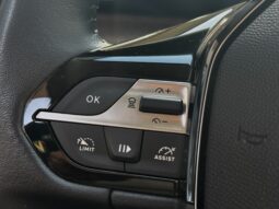 Peugeot 308 5p 130cv Allure Pack pieno