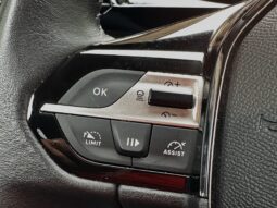 Peugeot 308 SW 130cv Allure Pack pieno