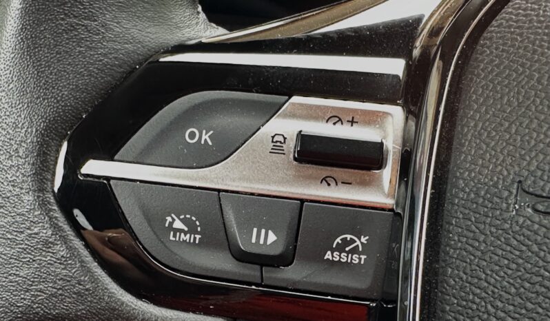 Peugeot 308 SW 130cv Allure Pack pieno