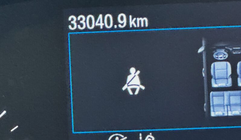 Ford Focus 125cv Hybrid ST Line pieno