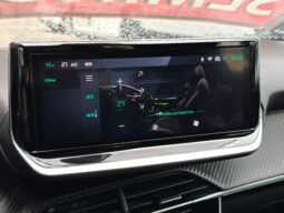 Peugeot 208 100cv Allure Pack pieno