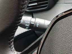 Peugeot 208 100cv Allure Pack pieno